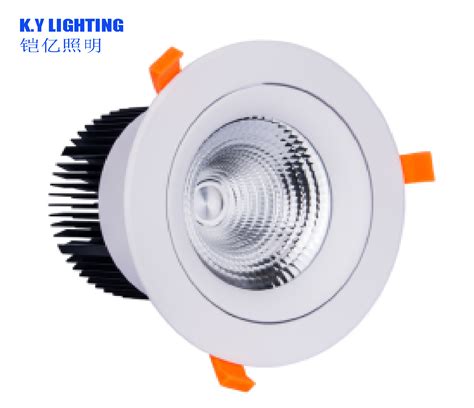 OEM ODM High Power40W 45W 50W 60W 70W 80W LED COB Spot Lamp Lighting