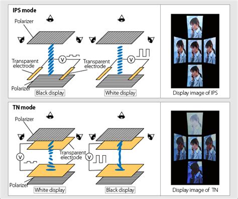 Perbedaan Layar Lcd Tft Ips Oled Dan Amoled Pada Hp