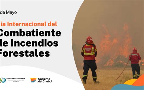 Recordamos El Dia Internacional Del Combatiente De Incendios Forestales Secretaria De Ambiente