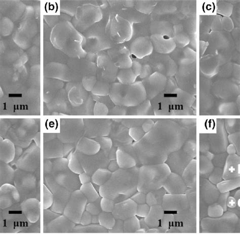 Sem Micrographs Of A Casio 3 Al 2 O 3 Ceramics Sintered At 1250 °c