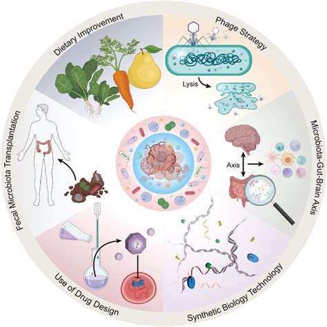 Novel Strategies For Cancer Treatment By Modulating Microbiotaderived