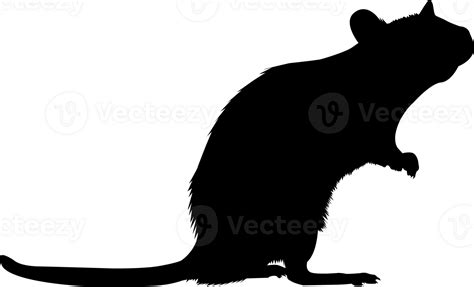 Wild Rat Animal Silhouette 27154610 PNG