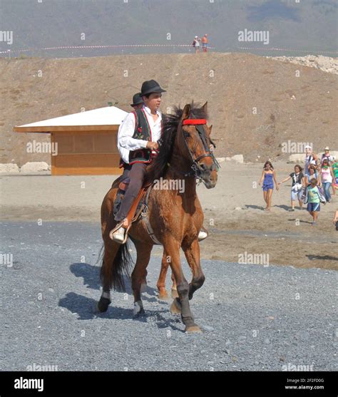 Owners Bring Their Animals For The Blessing To The Beach During The