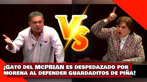 Vean Gato Del Mcprian Es Despedazado Por Sonia Rinc N Por Defender