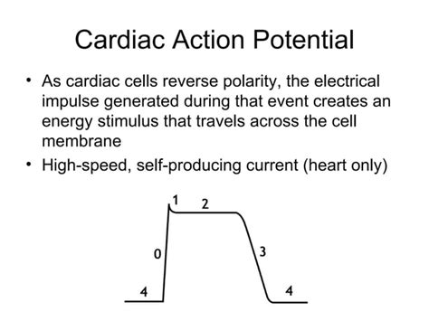 Cardiac Electrophysiology PPT