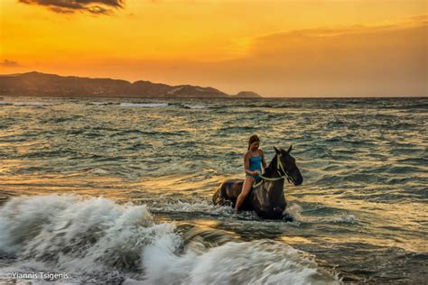 Horse riding on the beach - Book today your Beach ride