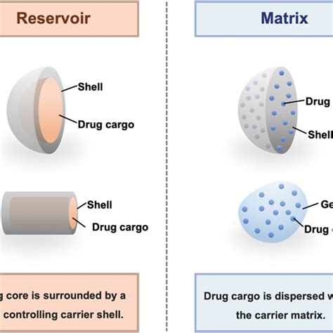 Examples Of Reservoir Type And Matrix Type Drug Delivery Systems