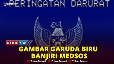 Heboh Peringatan Darurat Garuda Biru Hari Ini Buruh Hingga Mahasiswa