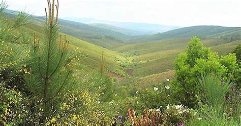 Serra Da Malcata Vai Ser Uma área Integrada De Gestão Da Paisagem