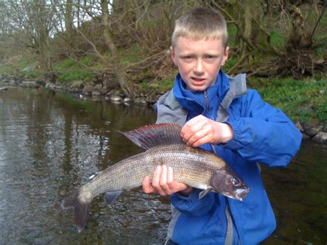 Fish of the Month April Entry - Big Grayling!