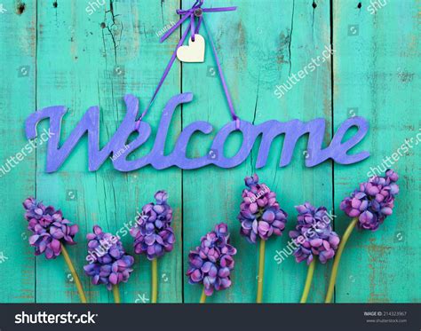 Purple Welcome Sign Purple Spring Flower Stock Photo 214323967