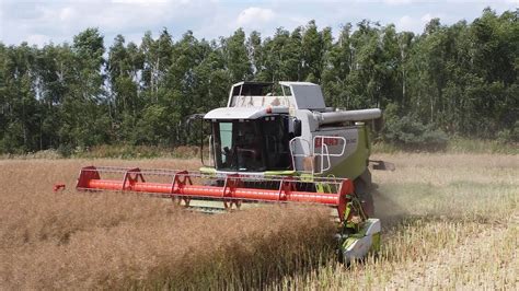 ŻNIWA Claas lexion YouTube