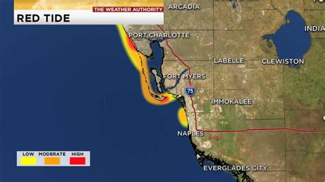 Portion of Fort Myers Beach clear of red tide in latest FWC map