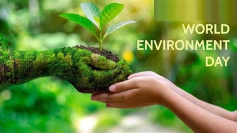 World Environment Day जानें क्यों मनाया जाता है विश्व पर्यावरण दिवस प्रकृति को बचाना चाहते हैं