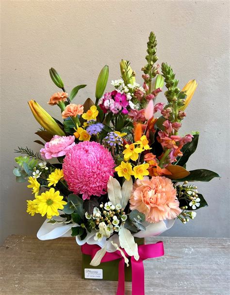 Bright and Cheerful Garden Box - Blossoms of Tweed Banora Florist