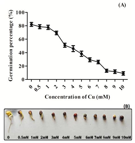 Plants Free Full Text Nitric Oxide Pre Treatment Advances Seed Germination And Alleviates