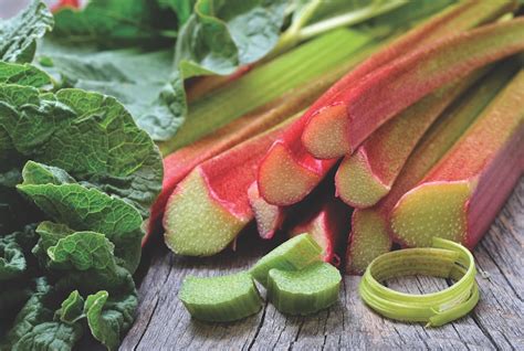 How To Grow Rhubarb Thompson Morgan