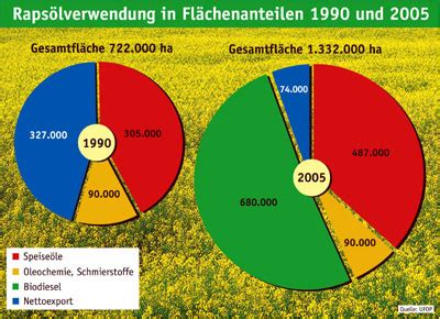 Nachhaltiger Rapsanbau Was Bedeutet Das Renewable Carbon News