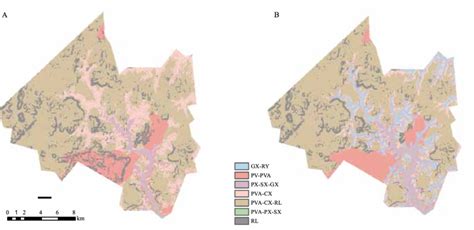 Mapas De Solos Extrapolados Para Cerro Grande Do Sul RS De Acordo