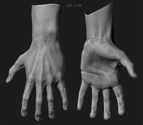 Hand anatomy study on Behance