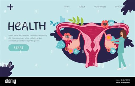 Female Menstrual Cycle Landing Page Female Doctor Tracking Menstrual