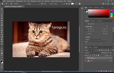 Adobe Photoshop 2024 v25 3 1 Firefly AI Support Neural Filters на