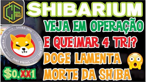 Shiba Inu Shibarium Volta Essa Semana Veja Ela Funcionando