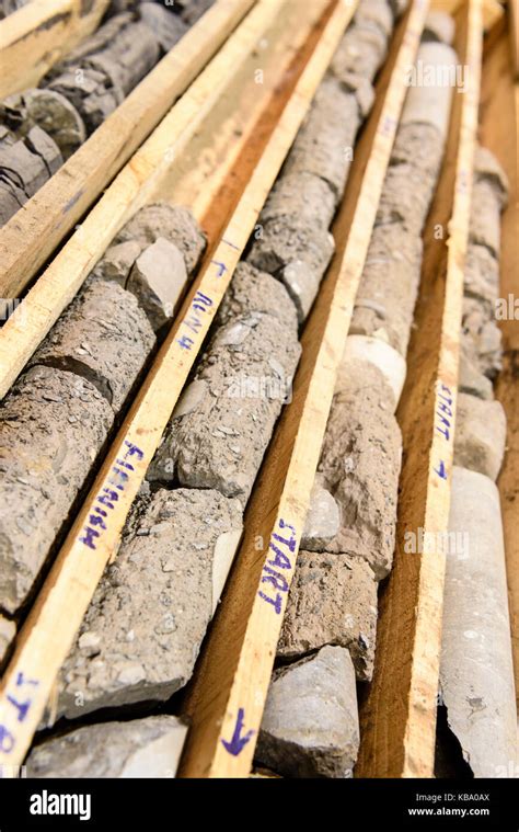 Rock Core Samples At The Geological Survey Of Northern Ireland Stock