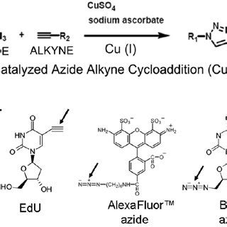 generic schema  cu catalyzed azide alkyne cycloaddition cuaac