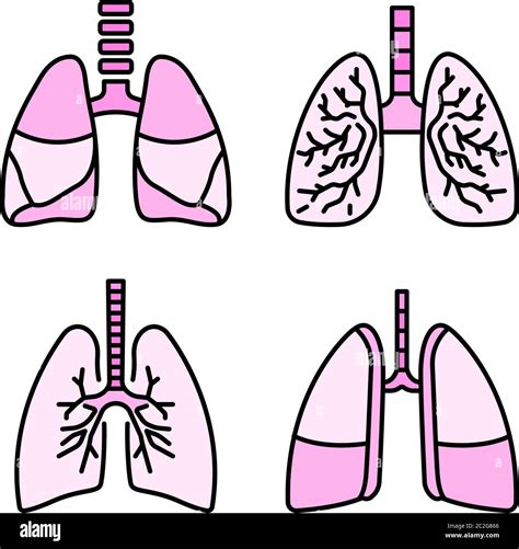 Lung Icon Set Line Color Vector Stock Vector Image And Art Alamy