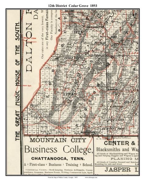 12 District Cedar Grove Georgia 1893 Old Town Map Custom Print