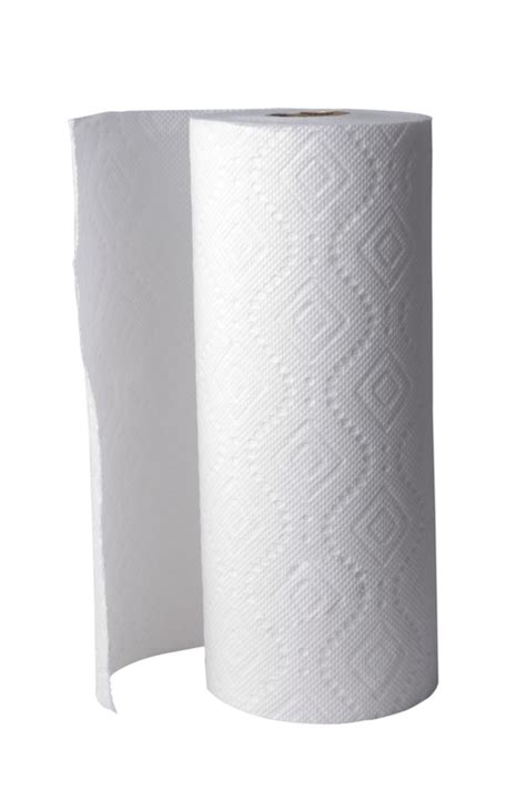 Kitchen Paper Towels Twin Pack, 2 Ply, 120 Sheet Long Rolls. | Supplyco