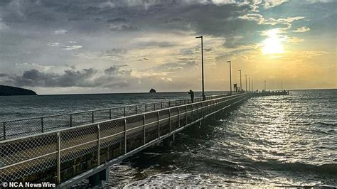 Tragedy As Womans Body Is Found After She Went Missing At Palm Cove