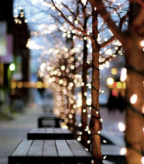 Twinkle Lights Photography for Inspiration | | Graphic Design Junction