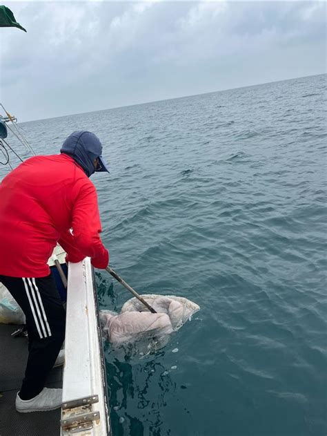 竹市海陸環保表現亮眼 考核締造「特優」連霸紀錄 生活 中時