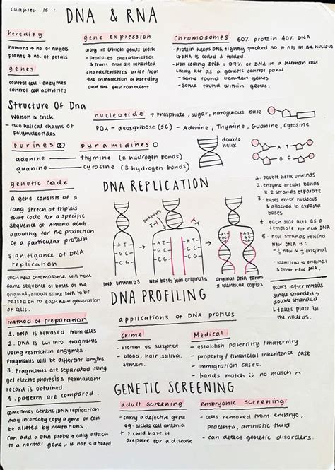 Aesthetic Notes Medical School Inspiration Medical School Essentials