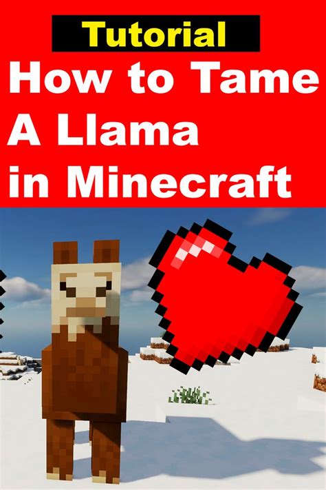 How To Tame A Llama In Minecraft 2021 Simple Tutorial