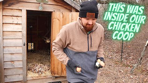 Fixing A Mistake With Our Chicken Coop With An Extra Surprise Youtube