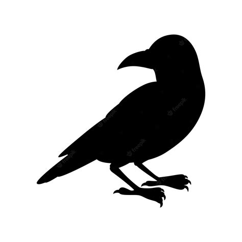 Premium Vector | Black silhouette of crow vector