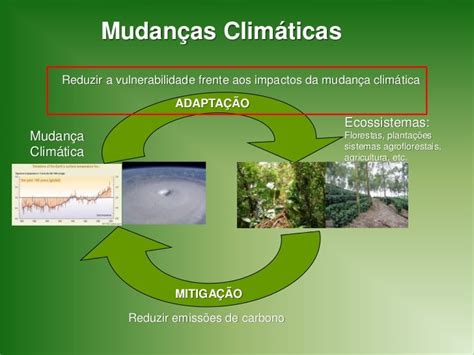 Dia 4 Simposio 2 Safs Como Estratégia Para Adaptação A Mudanças C