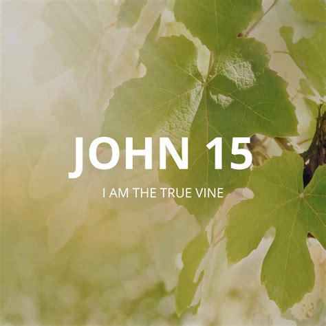 John 15 I Am The True Vine — Lincoln Baptist Church