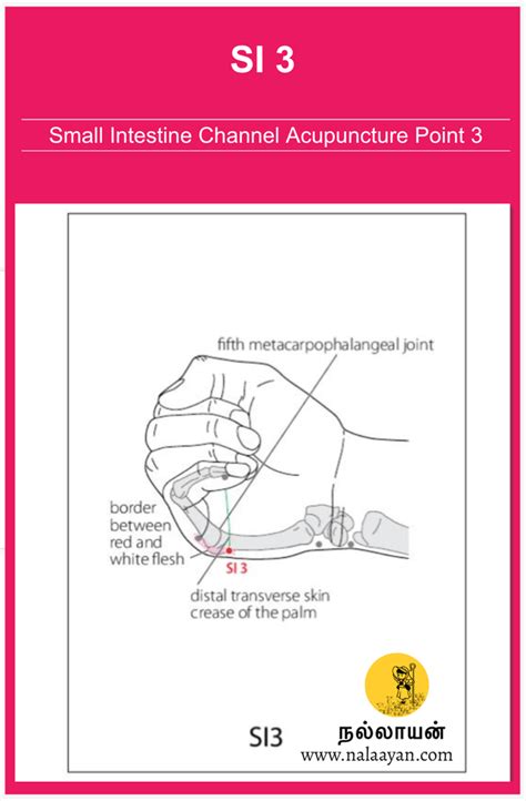 acupuncture point racupuncture