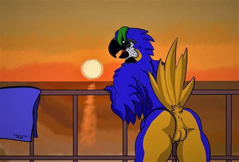 Rule 34 Absurd Res Anthro Anus Ass Avian Balls Bird Blue Body Blue