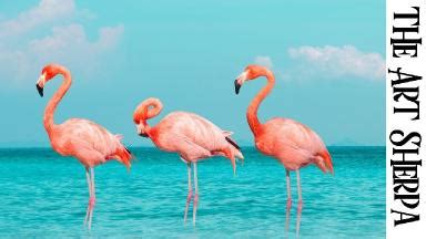 Tropical Flamingos Beginners Learn To Paint Acrylic Tutorial Step By