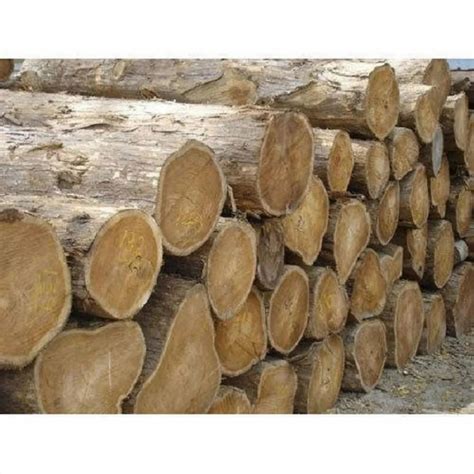 Brown Sheesham Wood Logs For Furniture Round At Rs Cubic Feet In