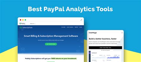 5 Best Paypal Analytics Tools Track Your Payments With Ease