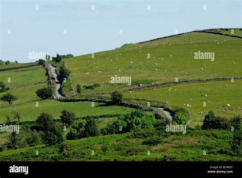 View From Waen Y Llyn Country Park Hope Mountain North East Wales Uk