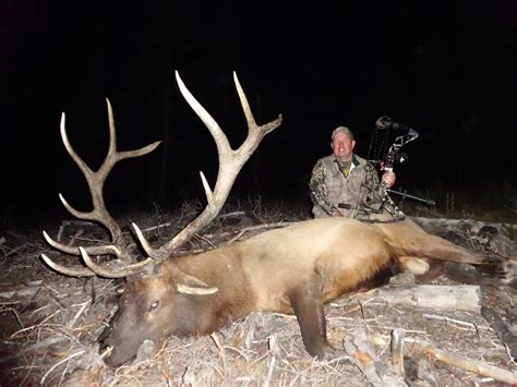 Wyoming Guided Elk Hunts Elk Hunting Outfitters