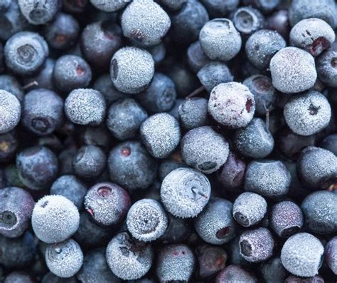 Organic Frozen Blueberries Fresh By 4roots