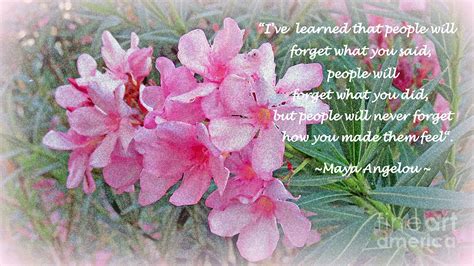 Flowers With Maya Angelou Verse Photograph By Kay Novy Pixels